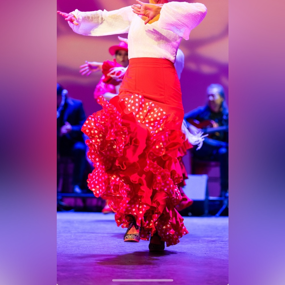 Flamenco Skirt - Picture 8 of 9